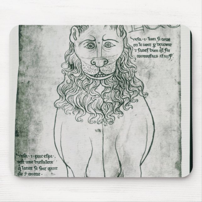 Tapis De Souris Lion et porc-épic de Mme Fr 19093 fol.24v (Devant)