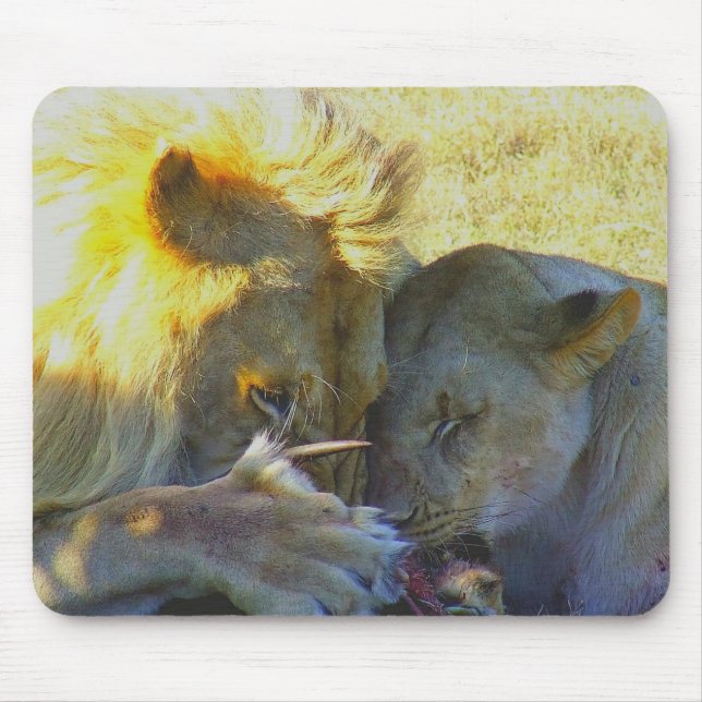 Tapis De Souris Lion Feast Wildlife Photography Souris Pad (Devant)