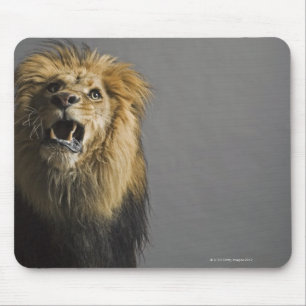 Tapis De Souris Lion hurlant