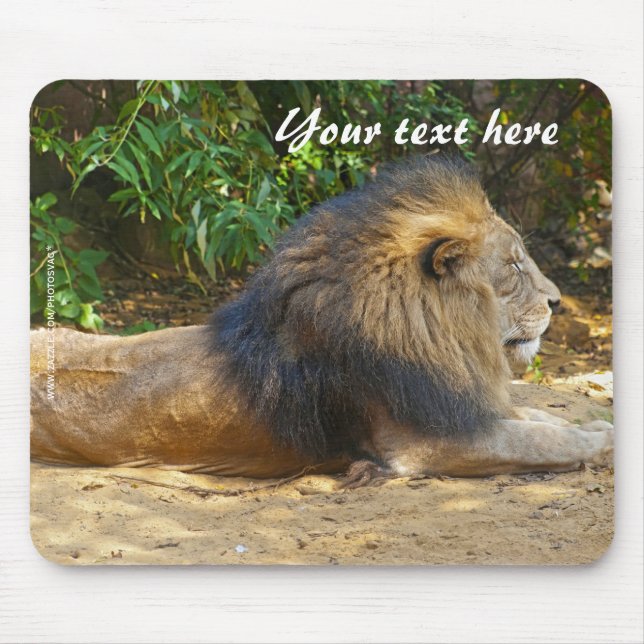 Tapis de souris Lion mâle (Devant)