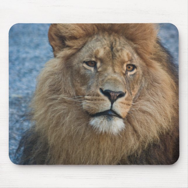 Tapis De Souris Lion Mousepad (Devant)