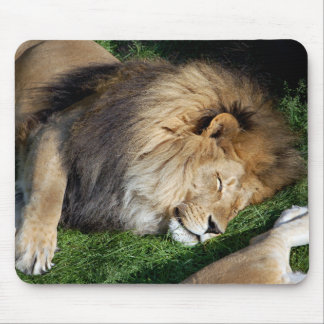 Tapis De Souris Lion Mousepad de sommeil