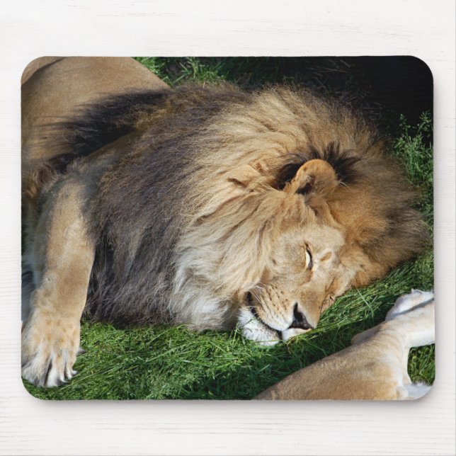 Tapis De Souris Lion Mousepad de sommeil (Devant)