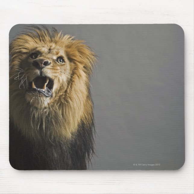 Tapis De Souris Lion rugissant (Devant)