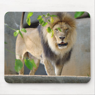 Tapis De Souris Lion Wildlife Mousepad
