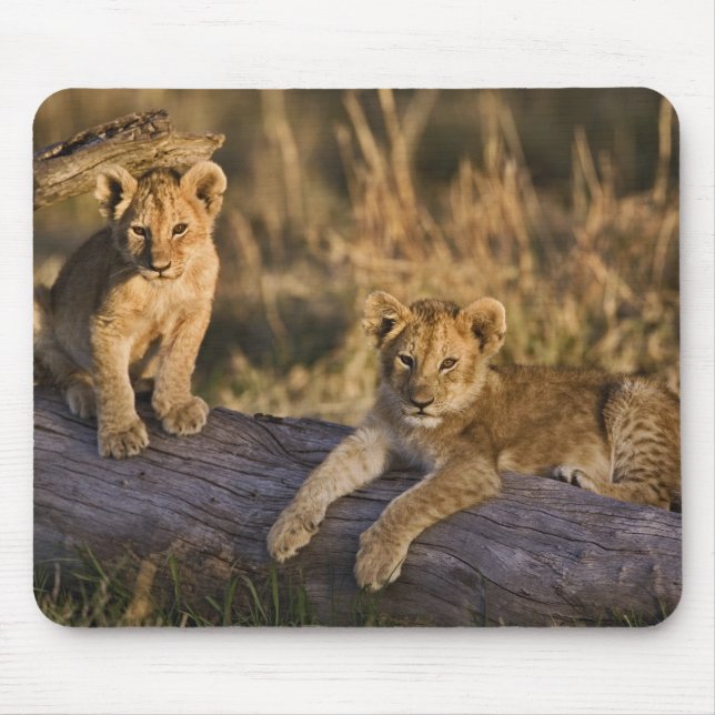 Tapis De Souris Lionceaux sur rondin (Devant)