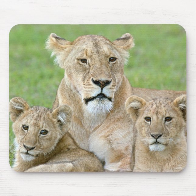 Tapis De Souris Lioness et deux petits, Afrique de l'Est, Tanzanie (Devant)