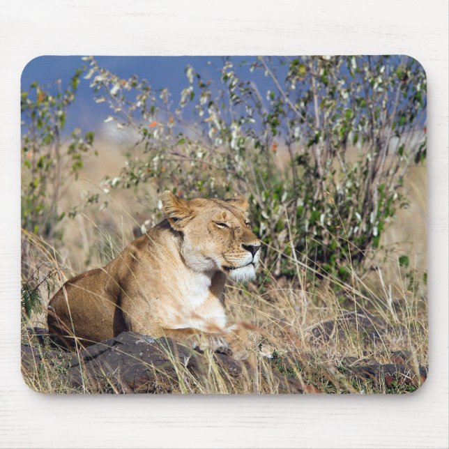 Tapis De Souris Lioness resting (Devant)