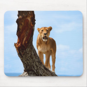 Tapis De Souris Lionne