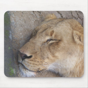 Tapis De Souris Lionne endormie