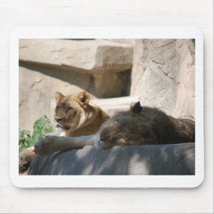 Tapis De Souris Lions africaines