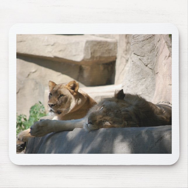 Tapis De Souris Lions africaines (Devant)