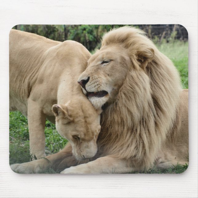 Tapis De Souris Lions d'amant (Devant)