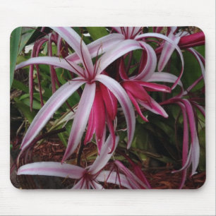 Tapis De Souris Lis Crinum pourpre de la reine Emma