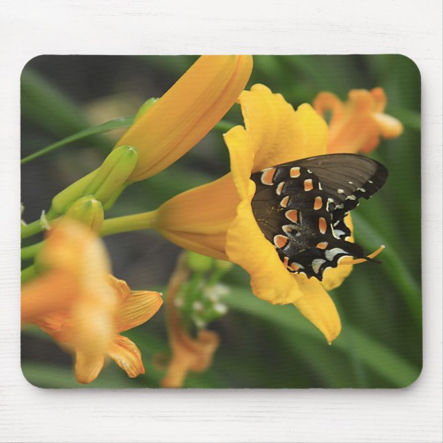Tapis De Souris Lis de papillon (Devant)