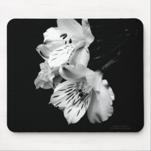 Tapis De Souris Lis noir et blanc Mousepad d'Alstroemeria