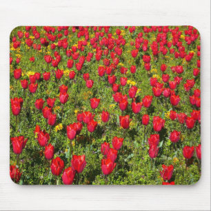 Tapis De Souris Lit de tulipes