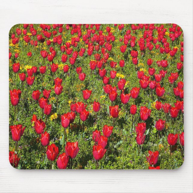 Tapis De Souris Lit de tulipes (Devant)