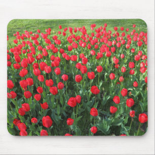 Tapis De Souris Lit des Tulipes rouges 01
