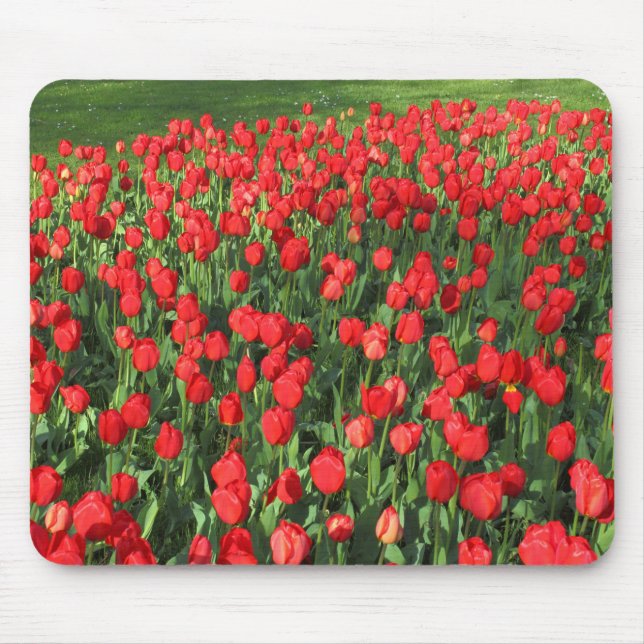 Tapis De Souris Lit des Tulipes rouges 02 (Devant)