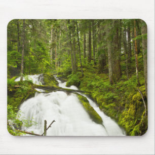 Tapis De Souris Little Zig Zag Falls Forêt nationale du mont Hoo