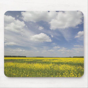 Tapis De Souris Lituanie, Lituanie, Lituanie centrale, Joniskis, c