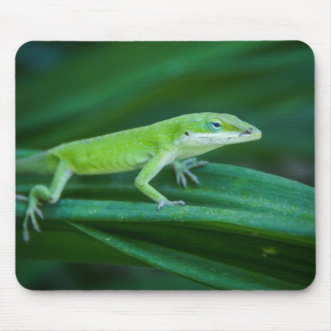 Tapis De Souris Lizard d'Anole Verte (Devant)