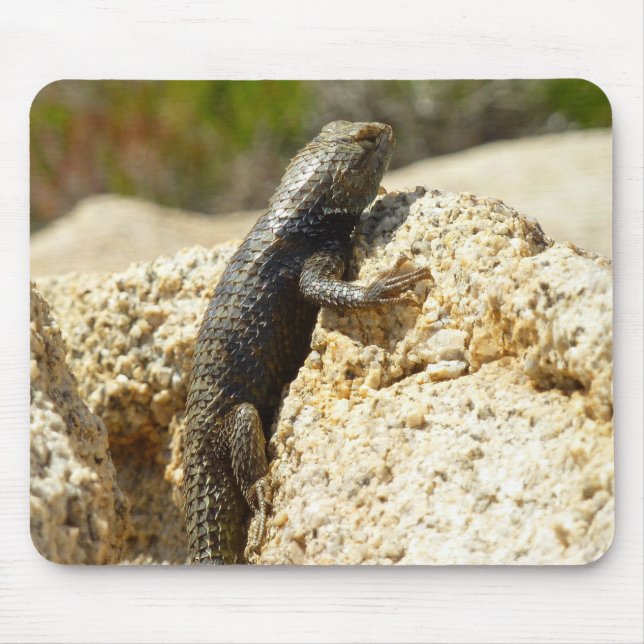 Tapis De Souris Lizard d'épinette à dos jaune à Joshua Tree (Devant)