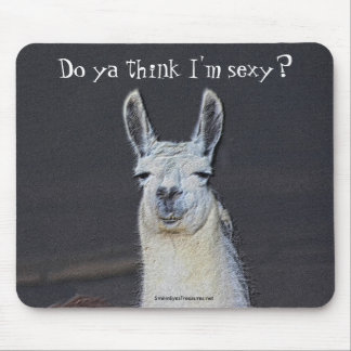 Tapis De Souris Llama Face Art humoristique 