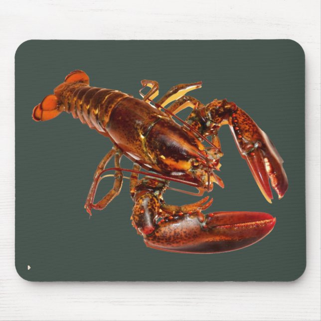 Tapis De Souris Lobster (Devant)