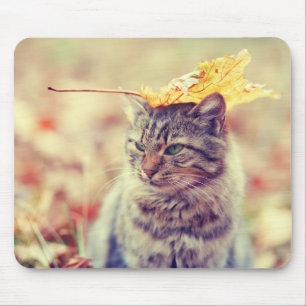 Tapis De Souris Loi sur l'équilibre des feuilles de Kitty