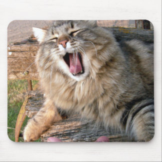 Tapis De Souris LOL Maine Coon