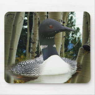 Tapis De Souris Loon sauvage