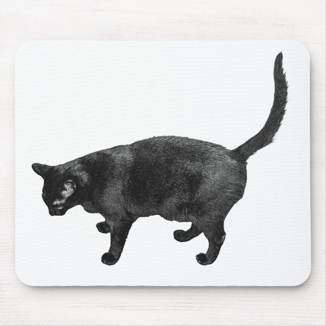 Tapis De Souris L'orientation créative vient avec grâce (Devant)