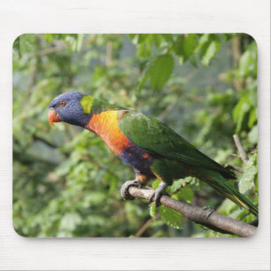 Tapis De Souris lorini, perroquet, lorikeet