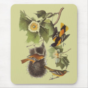 Tapis De Souris Loriots vintages Mousepad de Troupial d'oiseaux