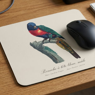 Tapis De Souris Loriquet arc-en-ciel mâle, Trichoglossus moluccanu