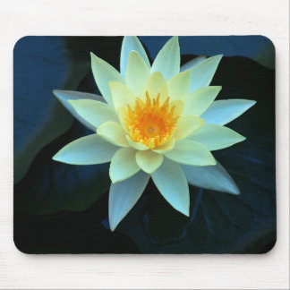 Tapis De Souris Lotus flower power