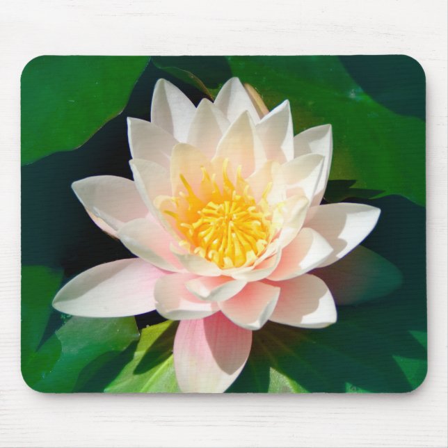 Tapis De Souris Lotus Mousepad (Devant)