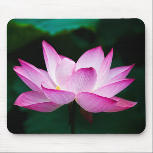 Tapis De Souris Lotus rose