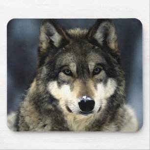 Tapis De Souris Loup