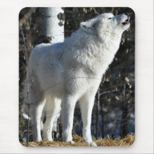 Tapis De Souris Loup arctique