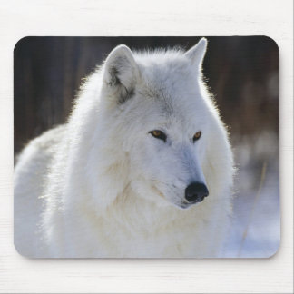 Tapis De Souris Loup arctique