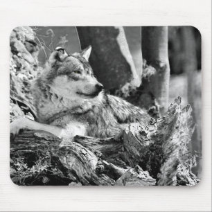 Tapis De Souris loup attentif