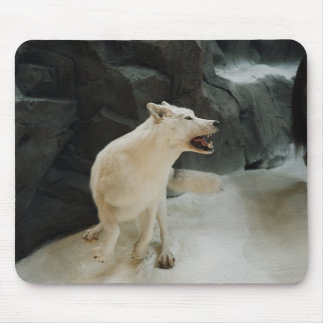 Tapis De Souris Loup blanc (Devant)