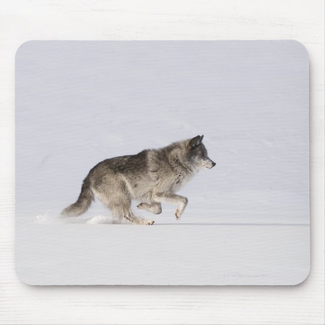 Tapis De Souris Loup courant dans la neige 2 (Devant)