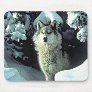 Tapis De Souris Loup dans le regard de la forêt hivernale