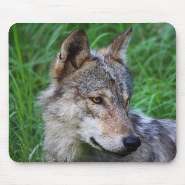 Tapis De Souris Loup de bois gris (Devant)
