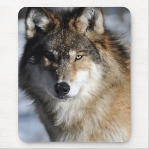 Tapis De Souris Loup gris