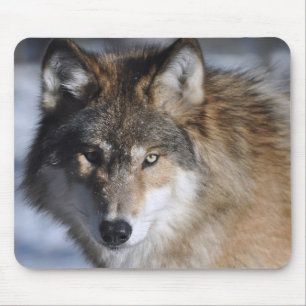 Tapis De Souris Loup gris